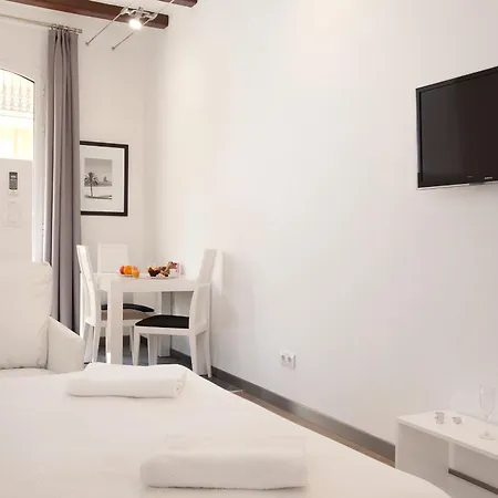 Barnapartments Basic Gracia * Barcelona